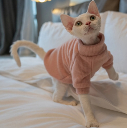 Cat Clothing